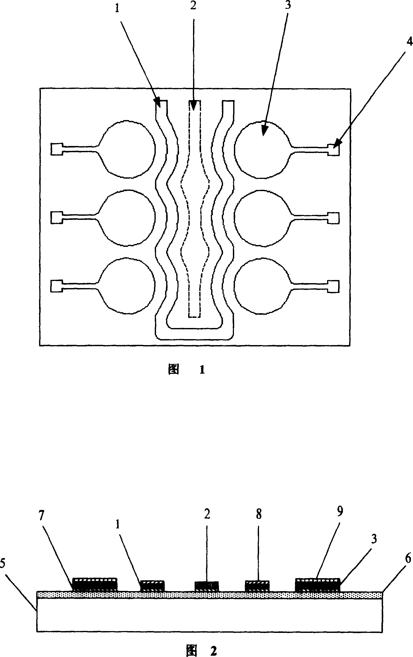 Micro sensor for detecting hepatic fibrosis based on method of antibody and antigen