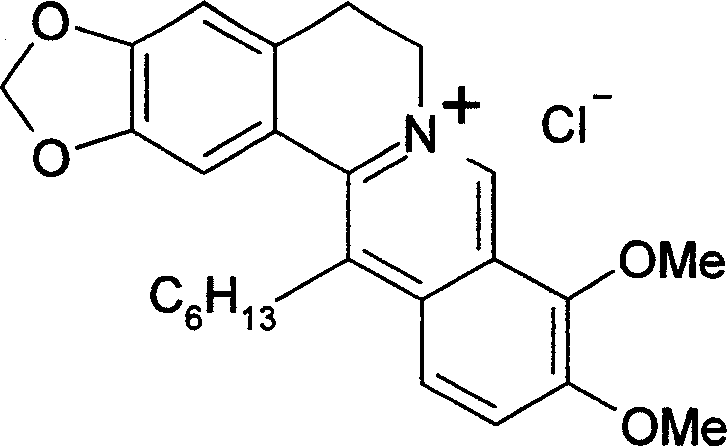 Use of chloride 13-hexyl berberine in preparation of medicine for treating peptic ulcer and bacteriological gastroenteritis