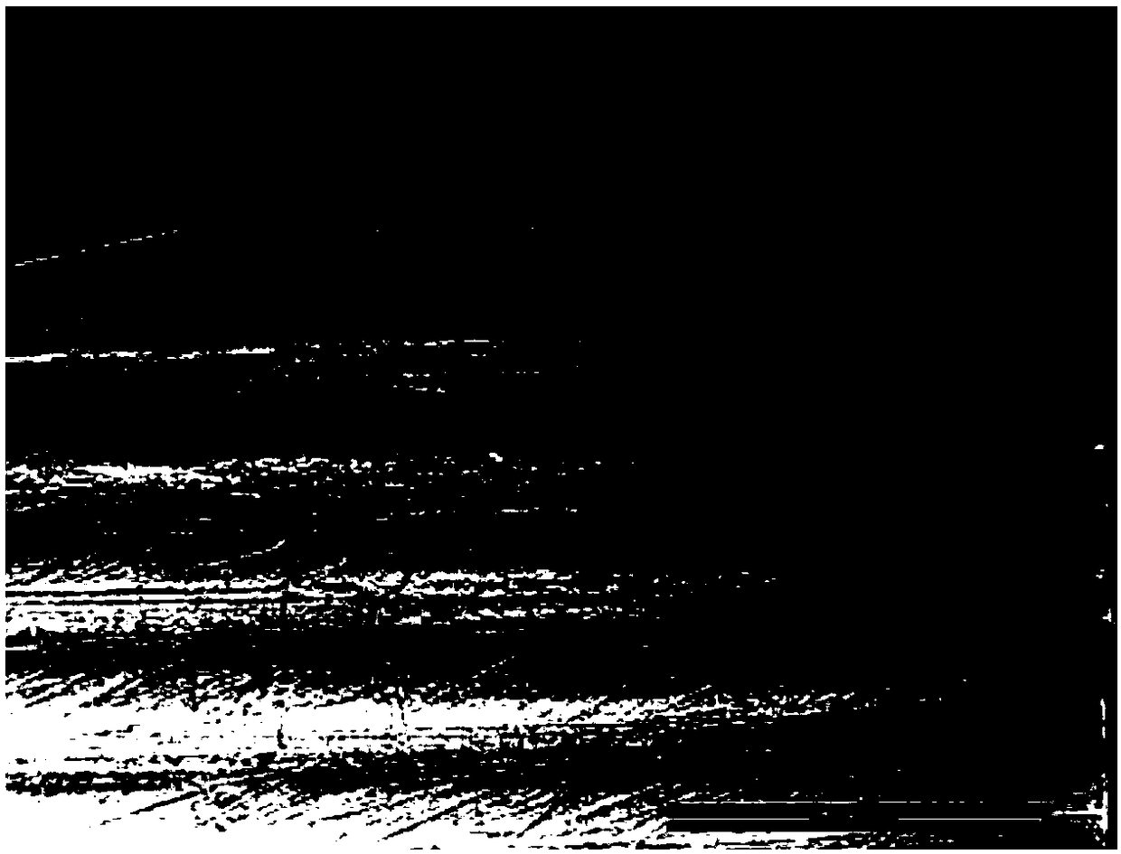 Axle shaft steel for railway vehicle and production method of axle shaft steel