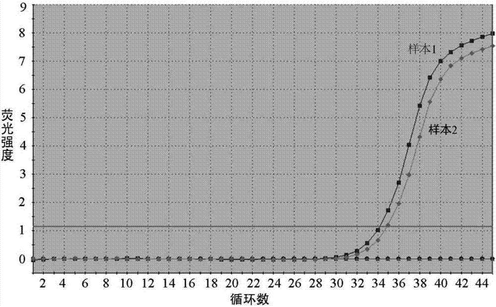 Molecular marker hsa-circ-0000705 for gastric cancer and application of molecular marker hsa-circ-0000705