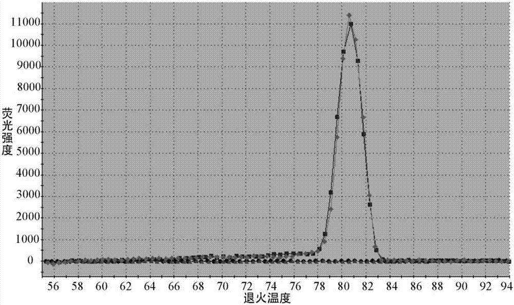 Molecular marker hsa-circ-0000705 for gastric cancer and application of molecular marker hsa-circ-0000705