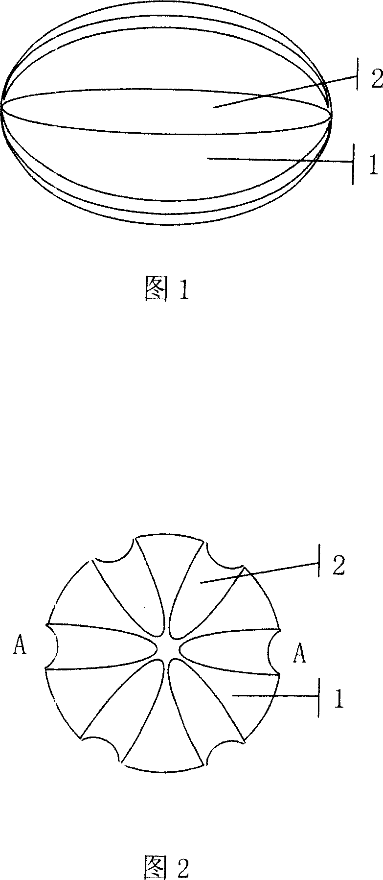 Carrier having a special feature, catalyzer and producing method thereof