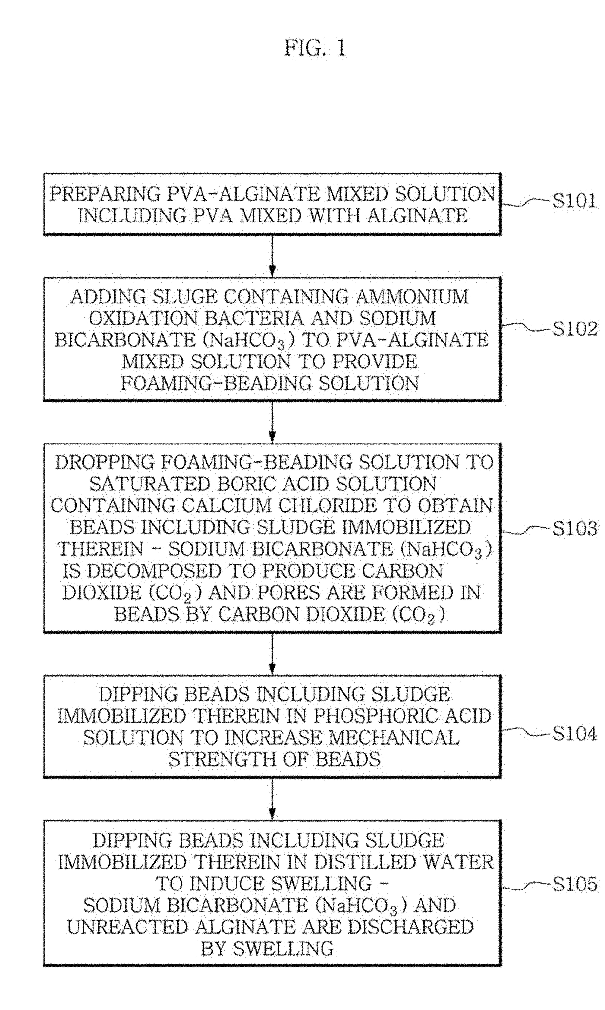 Carrier including ammonium oxidizing bacteria immobilized therein and method for preparing same