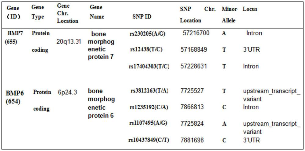 Single nucleotide polymorphic sites of BMP6 and BMP7 genes related to ONFH risk, combined detection substance and application