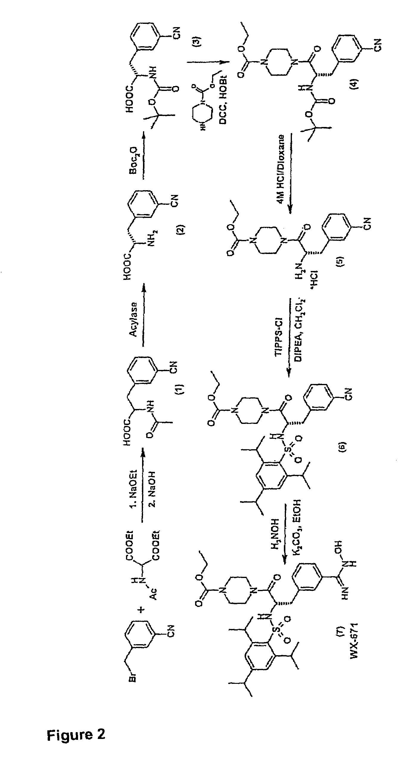 Hydroxyamidine and hydroxyguanidine compounds as urokinase inhibitors