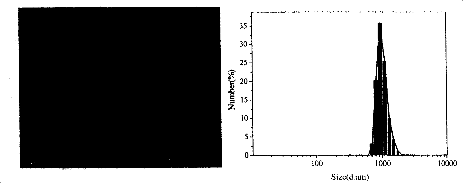 Chemical preparation method of silver dendritic structure period arrangement