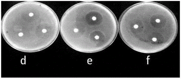 Natamycin micro-emulsion and preparation method thereof