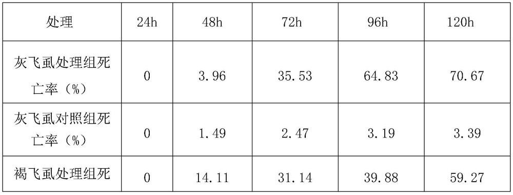 Ribosomal protein L9e, a lethal gene fragment of SBPH and its application