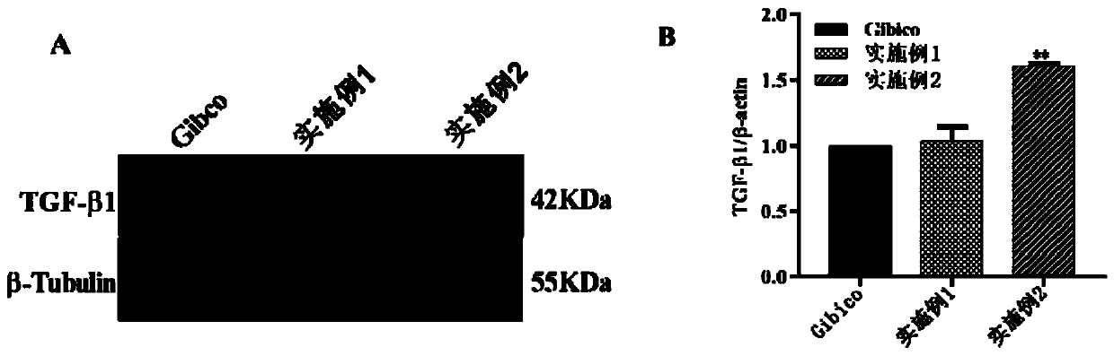 Serum-free protein-free culture medium supporting HEK293 cell suspension culture and preparation method and application thereof