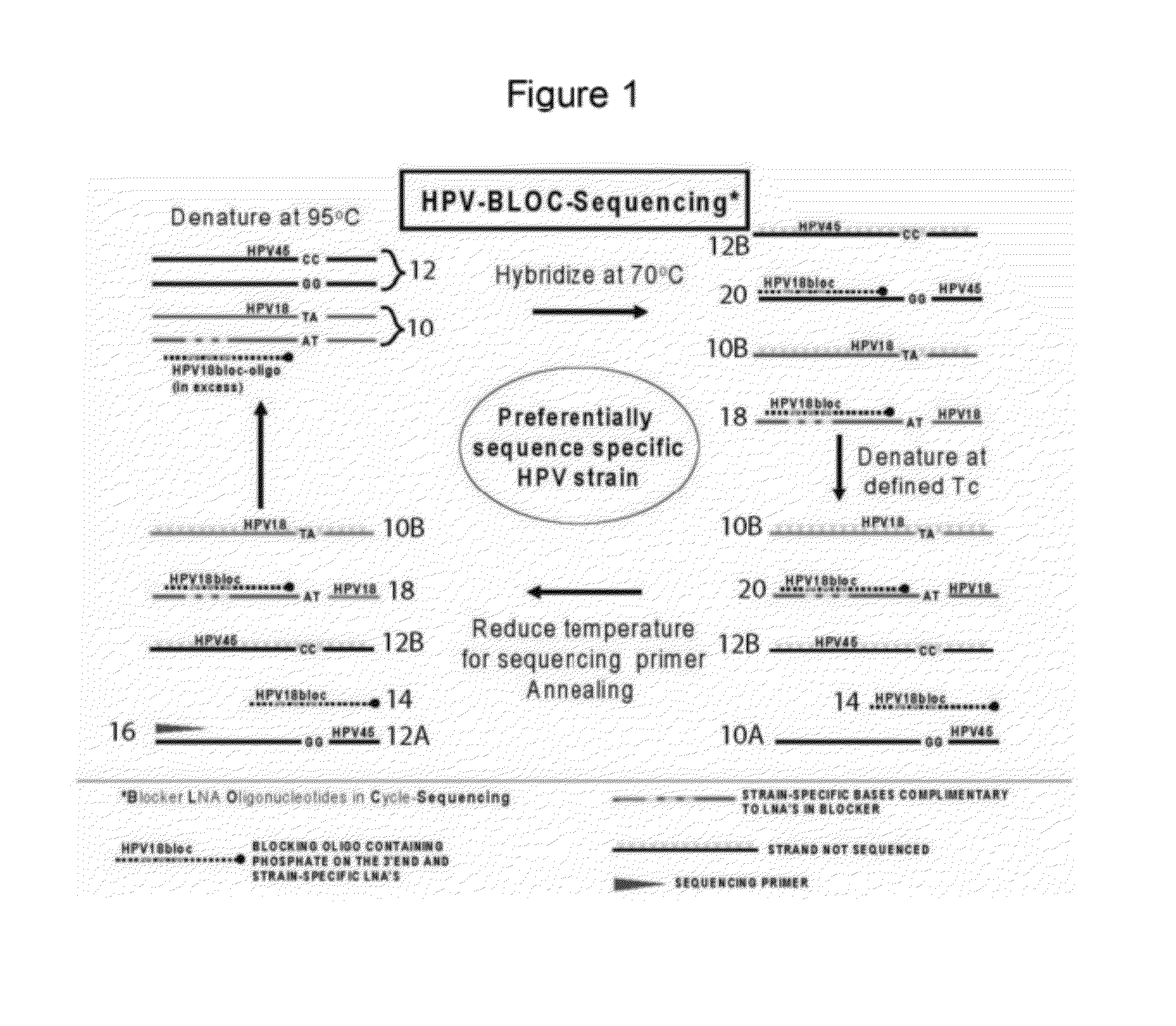 Kit and method for sequencing a target DNA in a mixed population