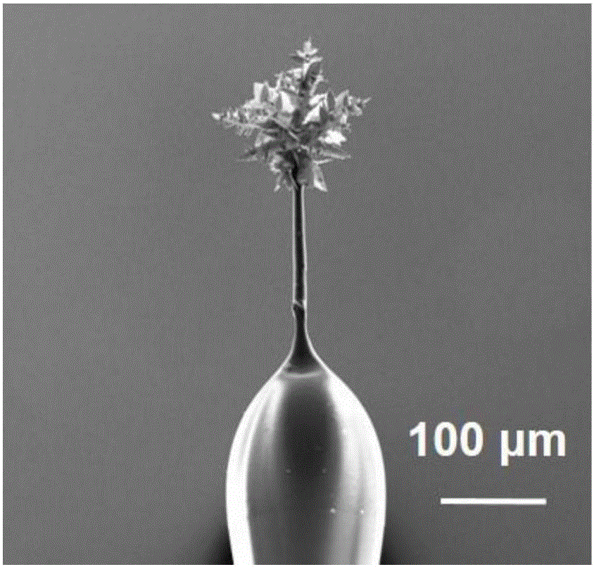 Nano flower-shaped ultramicro gold electrode and preparation and application thereof