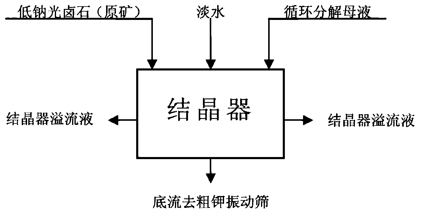 Crystallizer for hydrolyzing carnallite