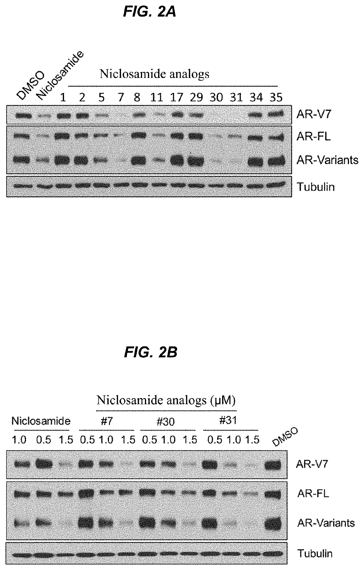 Compositions and methods for treating androgen-independent cancer