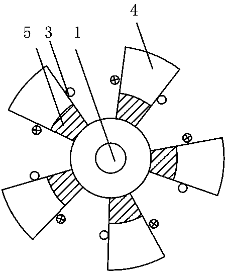 An external rotor wind generator