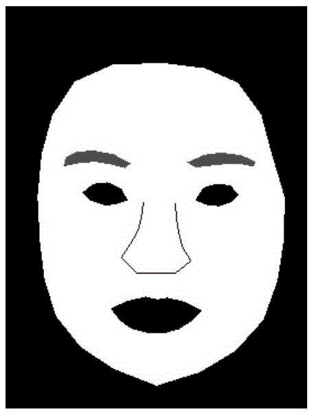 Facial image layer decomposition method based on improved guide filter