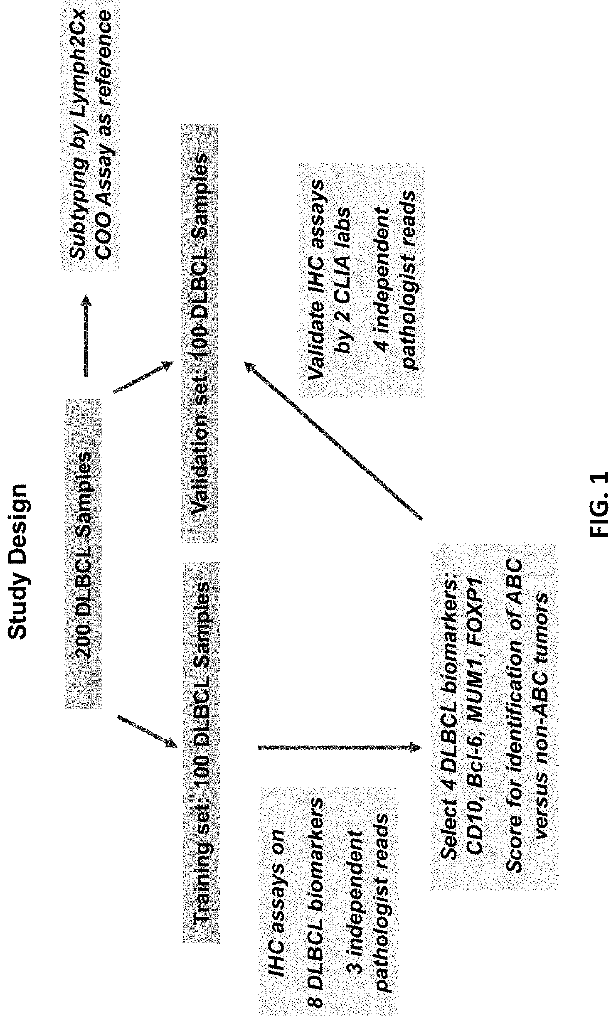 Methods of classifying diffuse large b-cell lymphoma