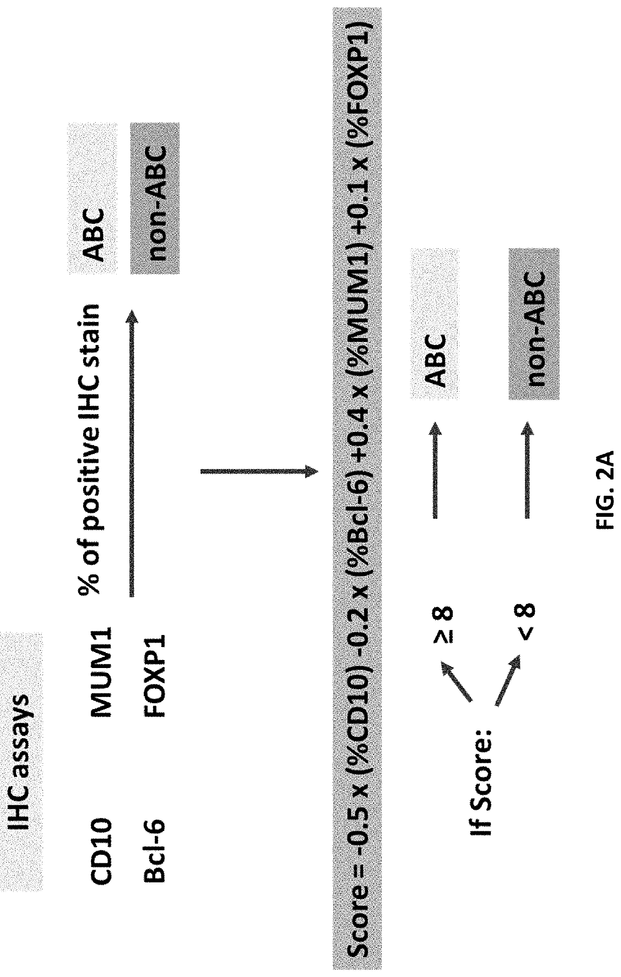 Methods of classifying diffuse large b-cell lymphoma