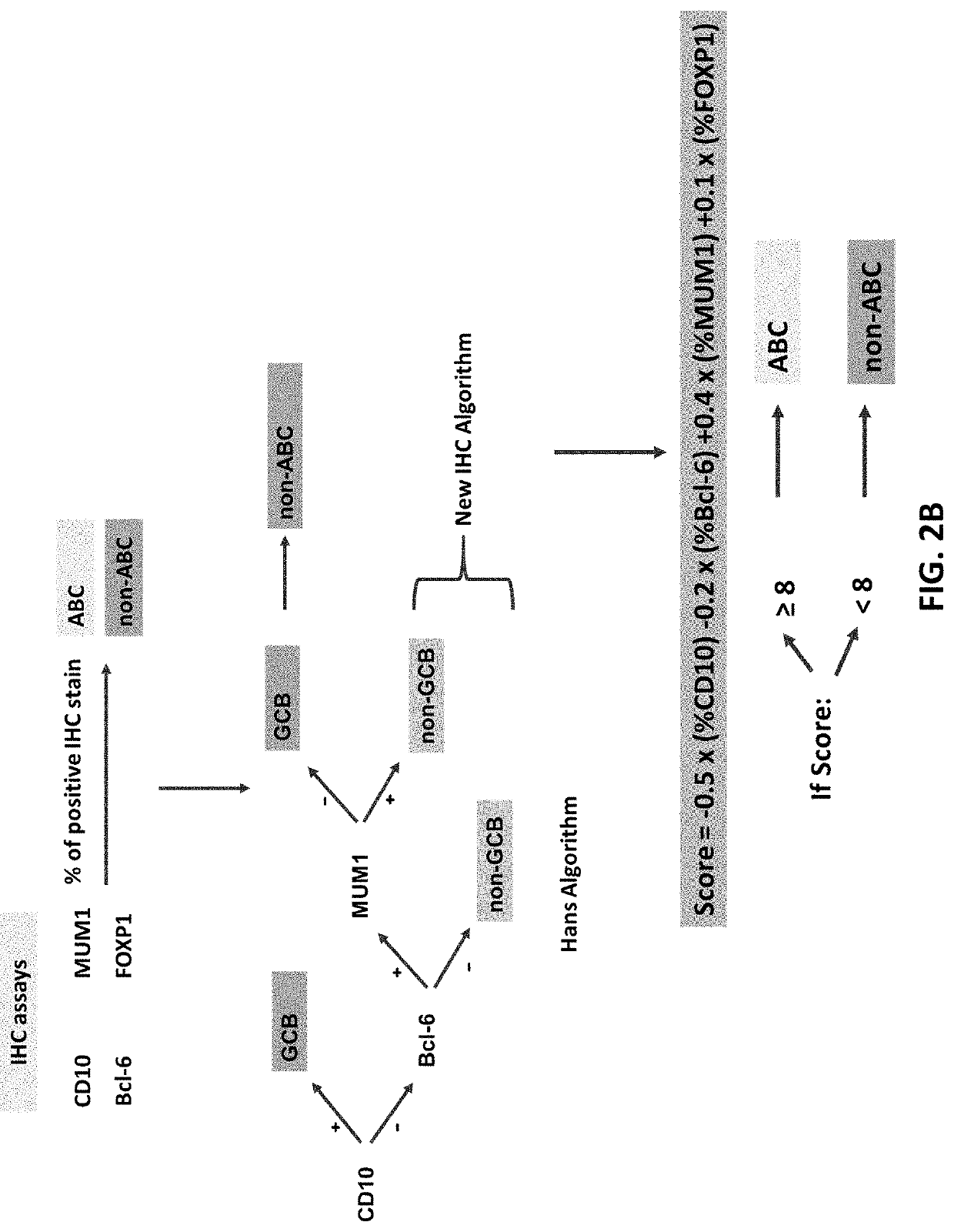 Methods of classifying diffuse large b-cell lymphoma