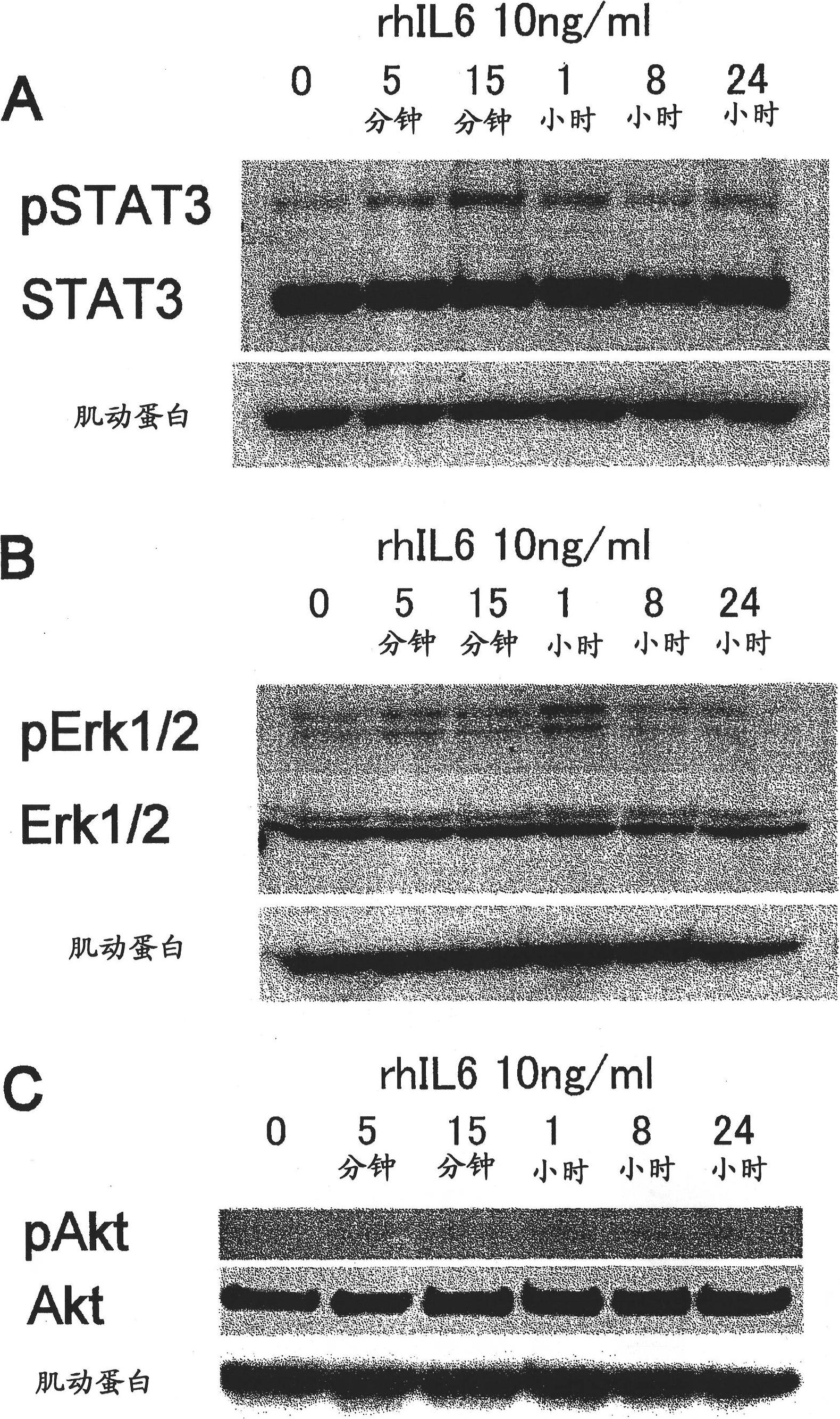 Neuroinvasion inhibitor