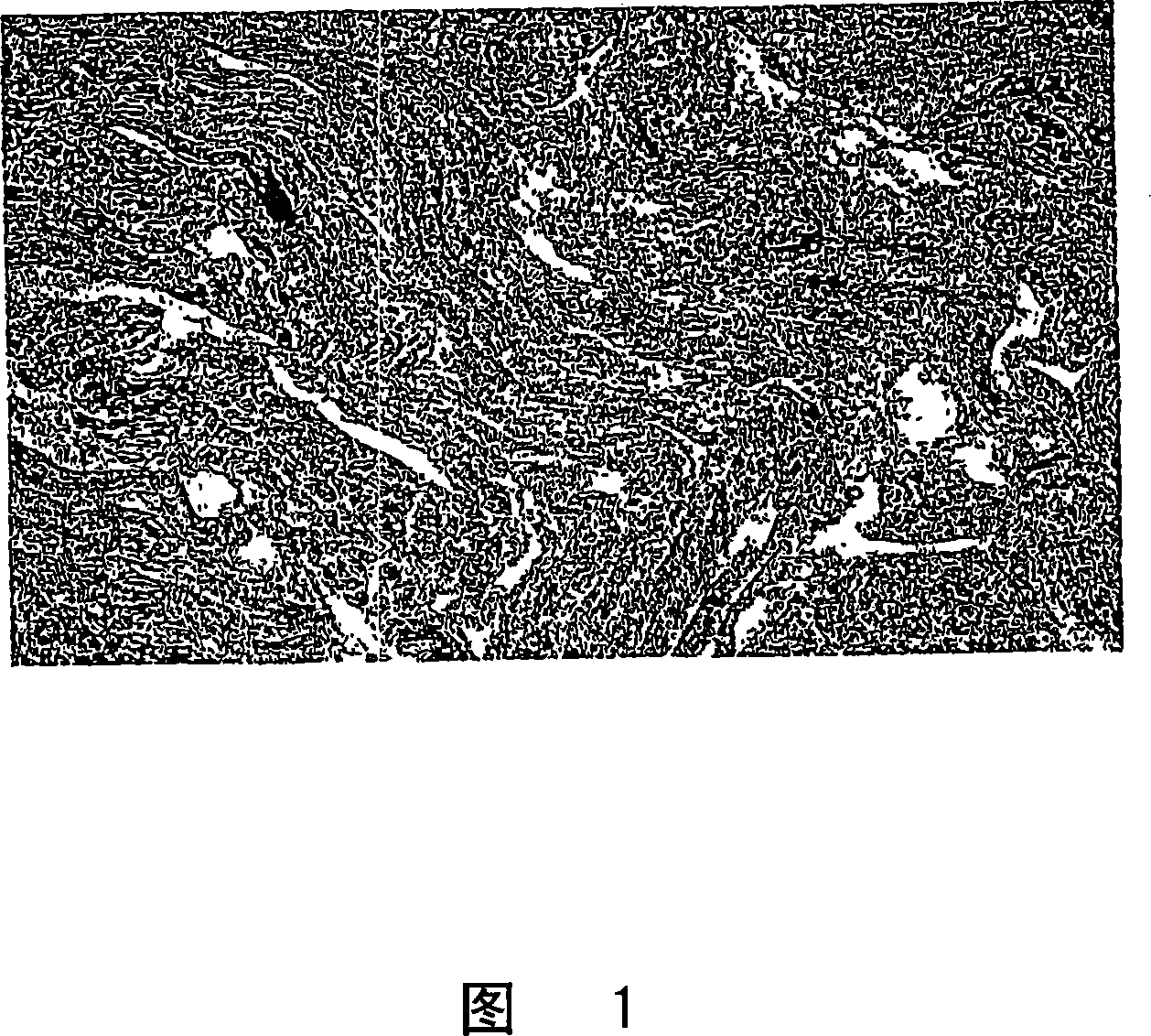 20-cycloalkyl,26,27-alkyl/haloalkyl vitamin D3 compounds and methods of use thereof