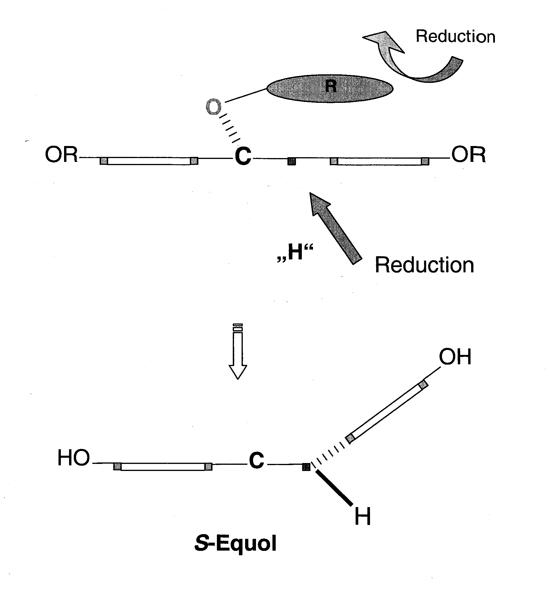 Synthesis of equol