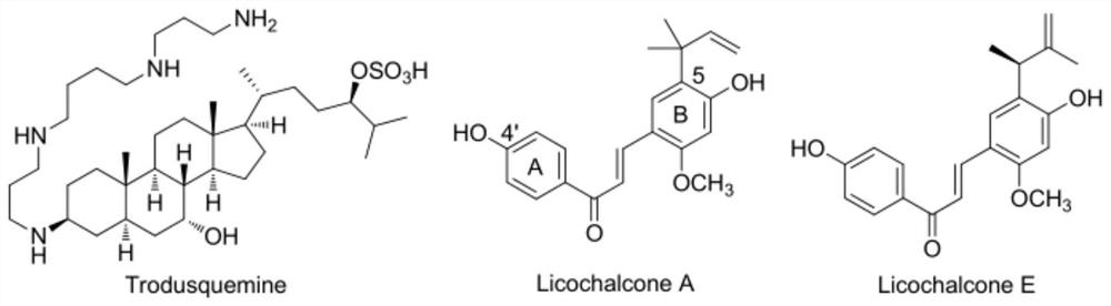 A kind of chalcone derivative containing allyl structure and its application