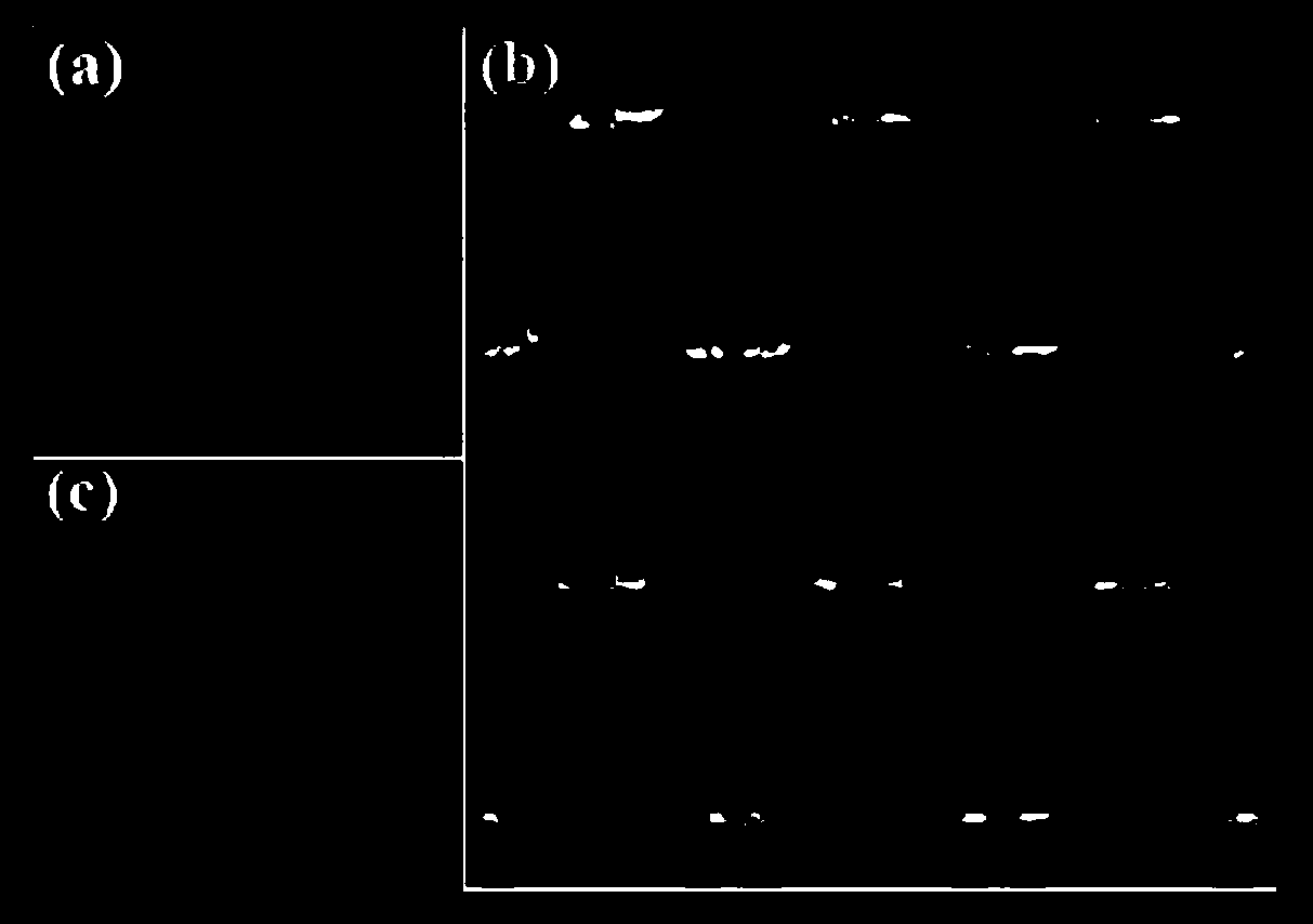 Multi-target nonradiative wireless power transmission system based on special materials