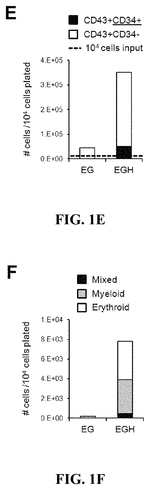 Multi-lineage hematopoietic precursor cell production by genetic programming