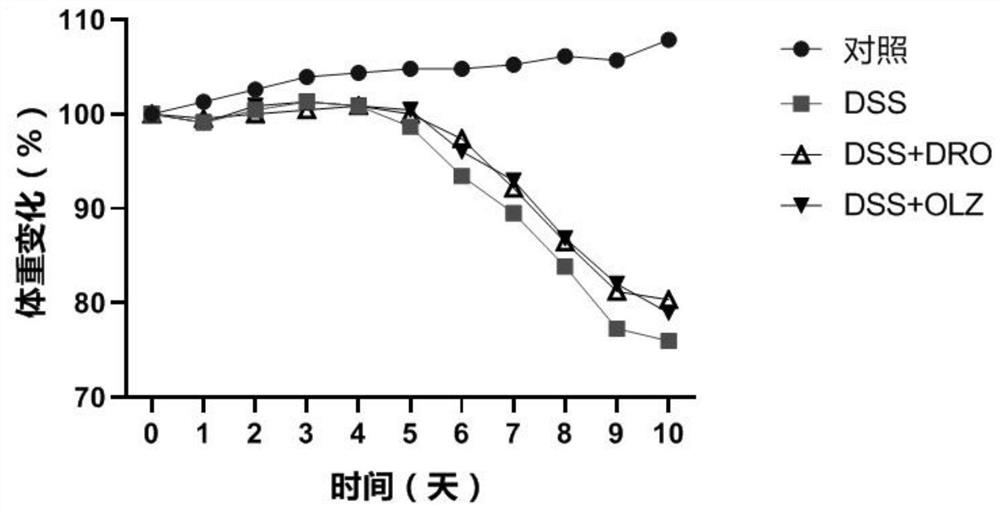 Application of dronedarone to preparation of medicine for preventing and treating colitis