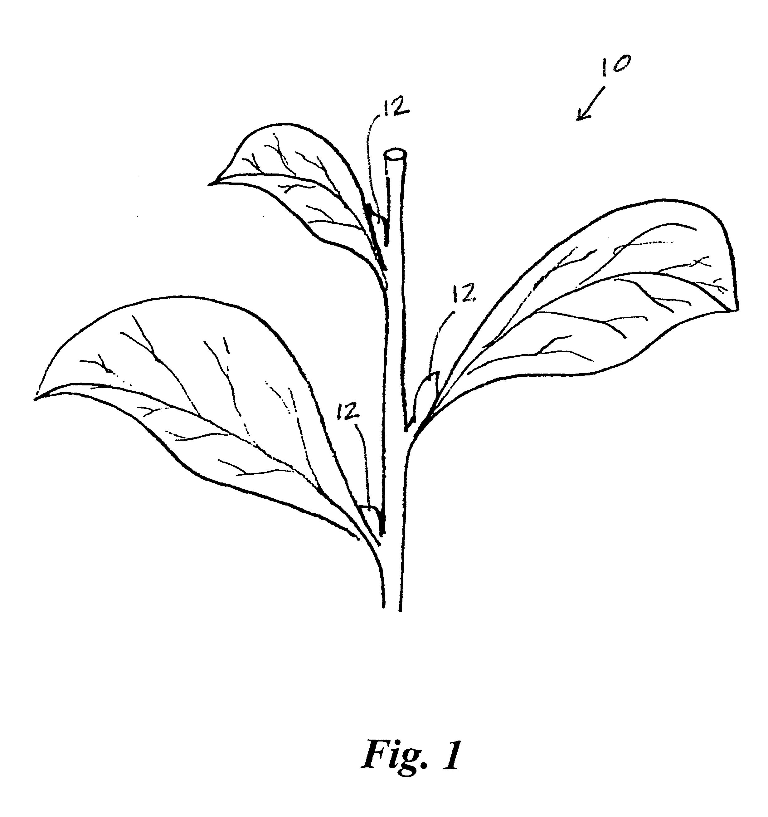 Method and apparatus for simultaneously topping tobacco and controlling suckers with chemicals applied to cut stems by mechanical means