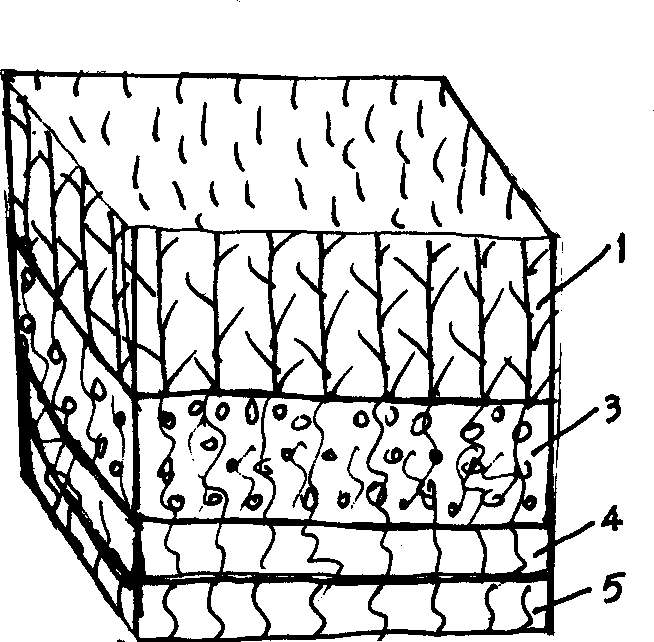 Sedum lineare roof greening seedling block and one-stage lawn formation method thereof