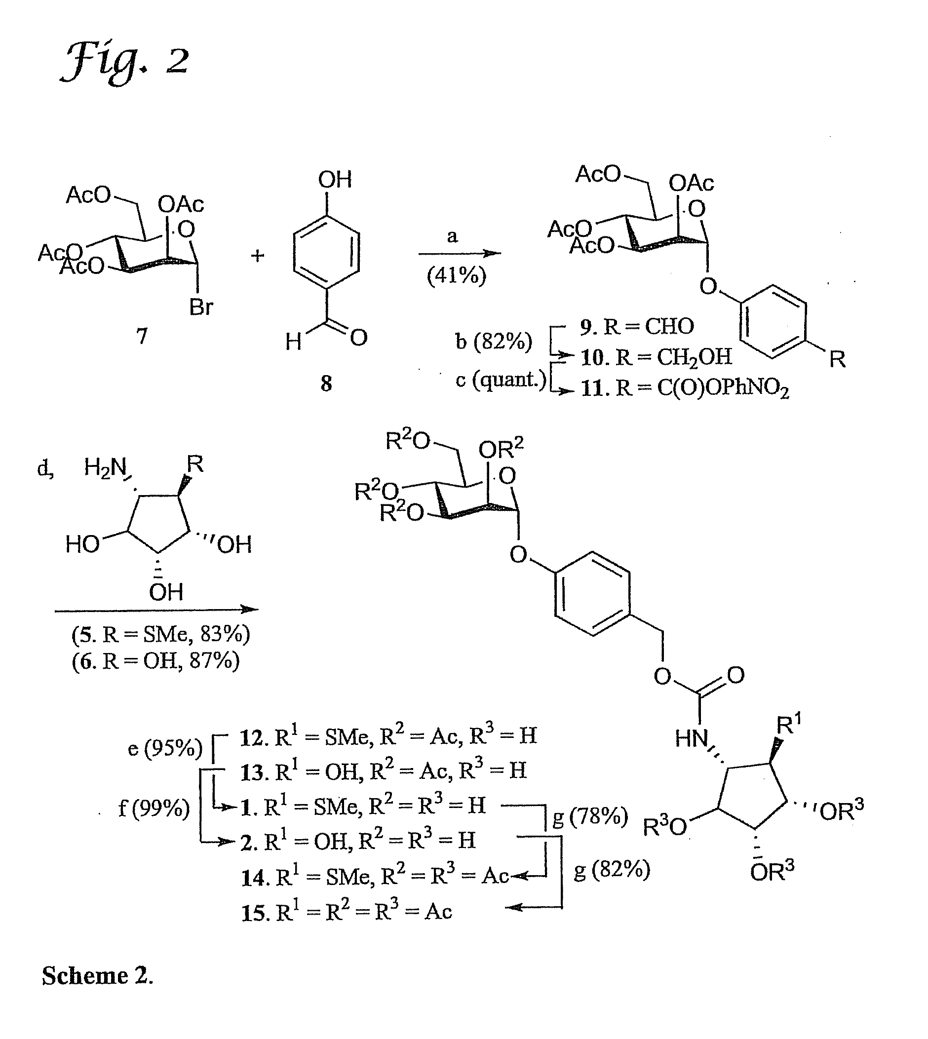 Feedback prodrug