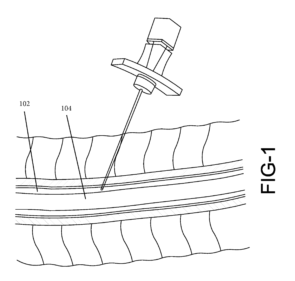 Biomarker detection and identification system and apparatus