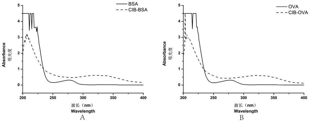 Anti-CIB single-chain antibody, and screening method and application thereof