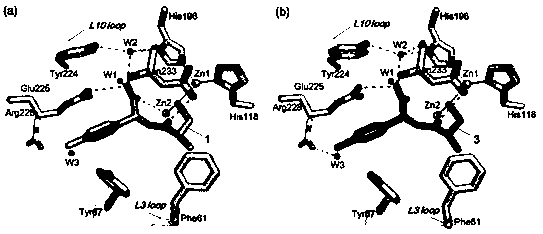 Preparation and use of 2-substituted-(S)-(3-mercapto-2-methylpropanoyl)-glycine derivatives