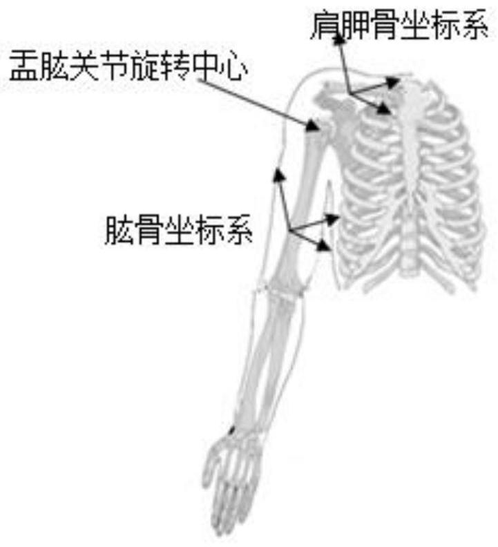 A method for measuring the coupling relationship between the glenohumeral joint rotation center of the human upper limb shoulder and the lifting angle of the upper arm