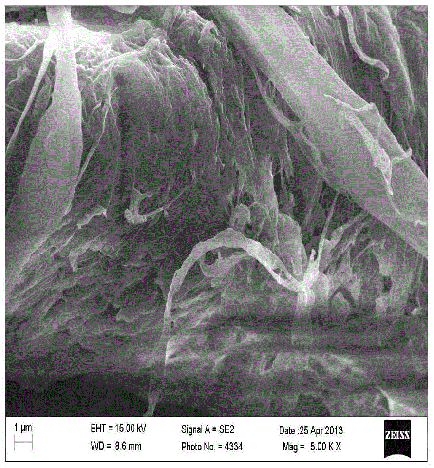 Preparation and application method of a strippable cellulose-based radioactive contamination decontamination agent