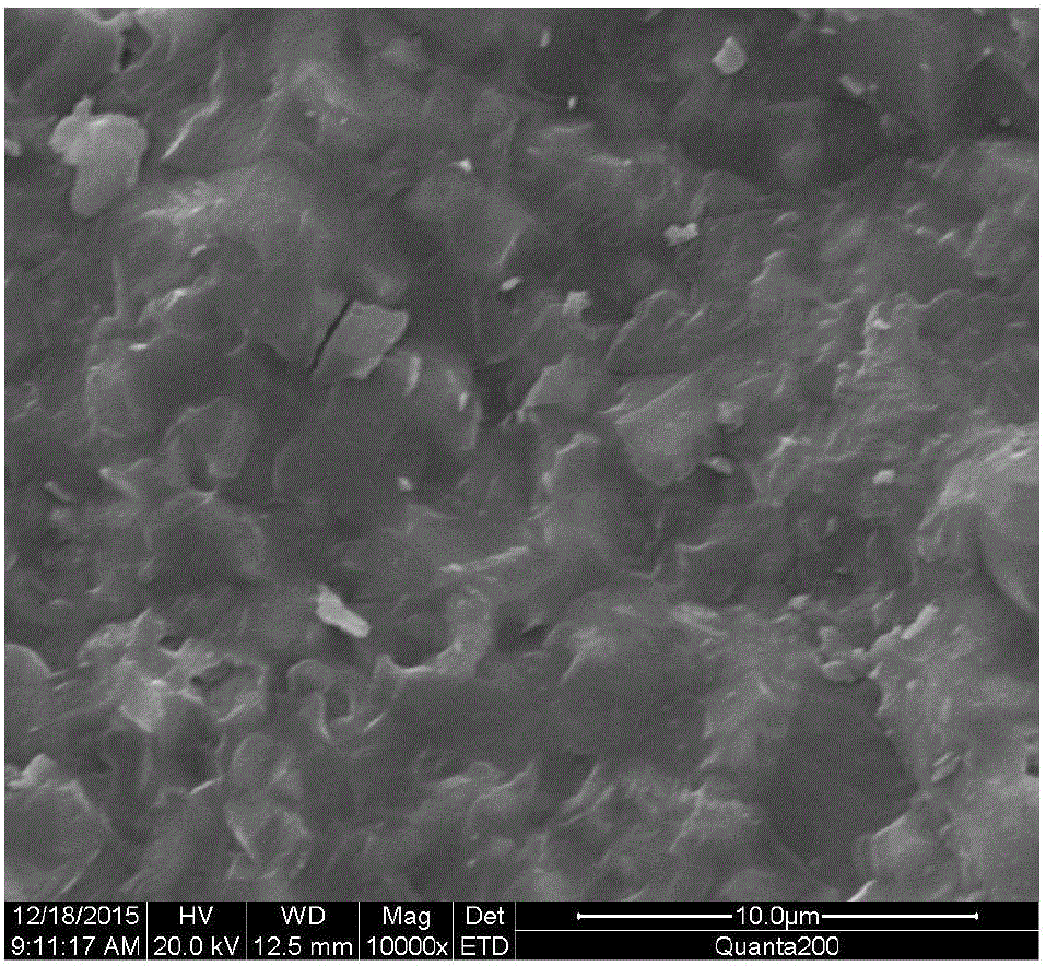 Luminescent ceramic prepared from magnesium-rich metallurgical nickel slag and preparation method of luminescent ceramic