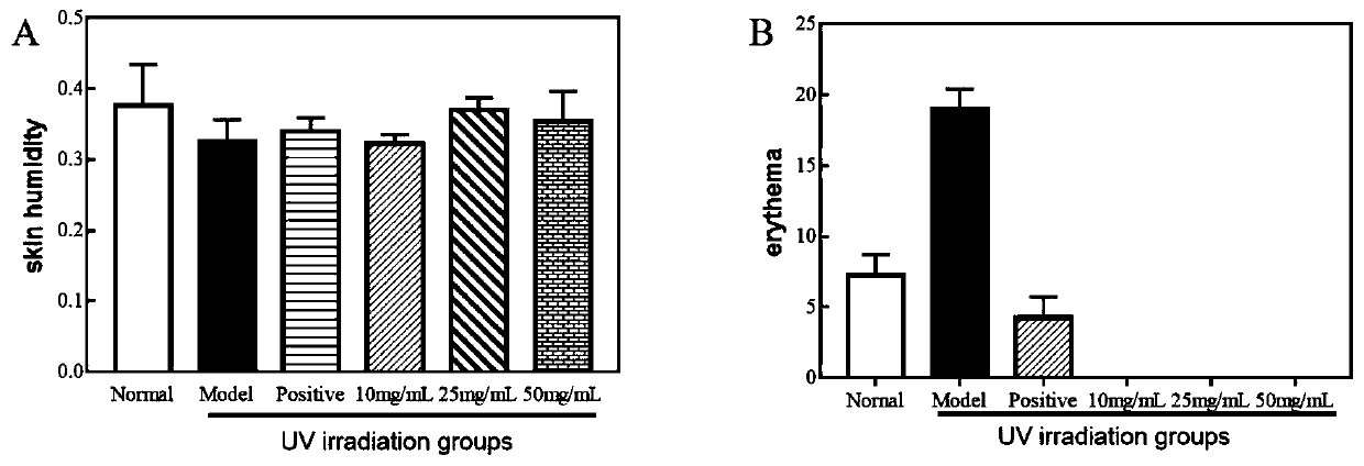 Method for evaluating medicinal effects of freckle removal and skin repairing of dendrobium officinale protocorms