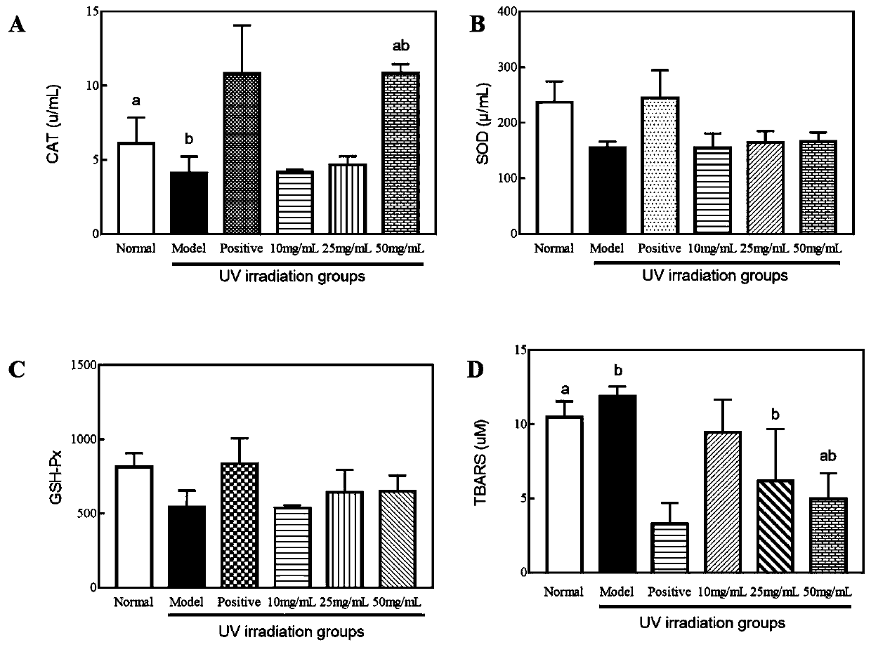 Method for evaluating medicinal effects of freckle removal and skin repairing of dendrobium officinale protocorms