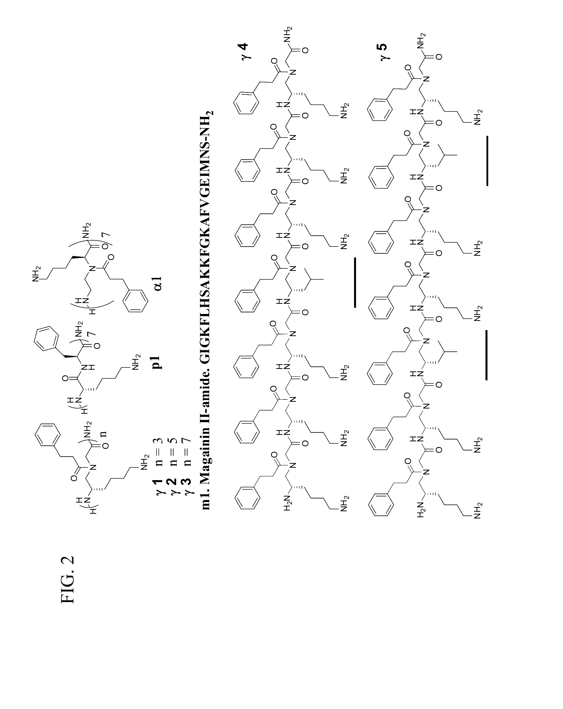 Gamma-aapeptides with potent and broad-spectrum antimicrobial activity