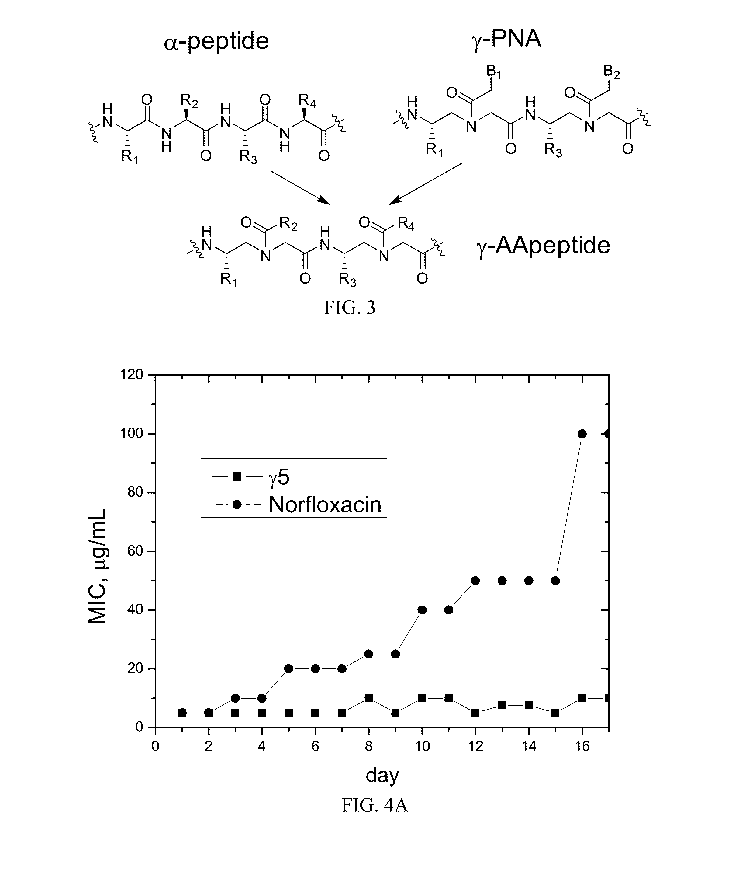 Gamma-aapeptides with potent and broad-spectrum antimicrobial activity