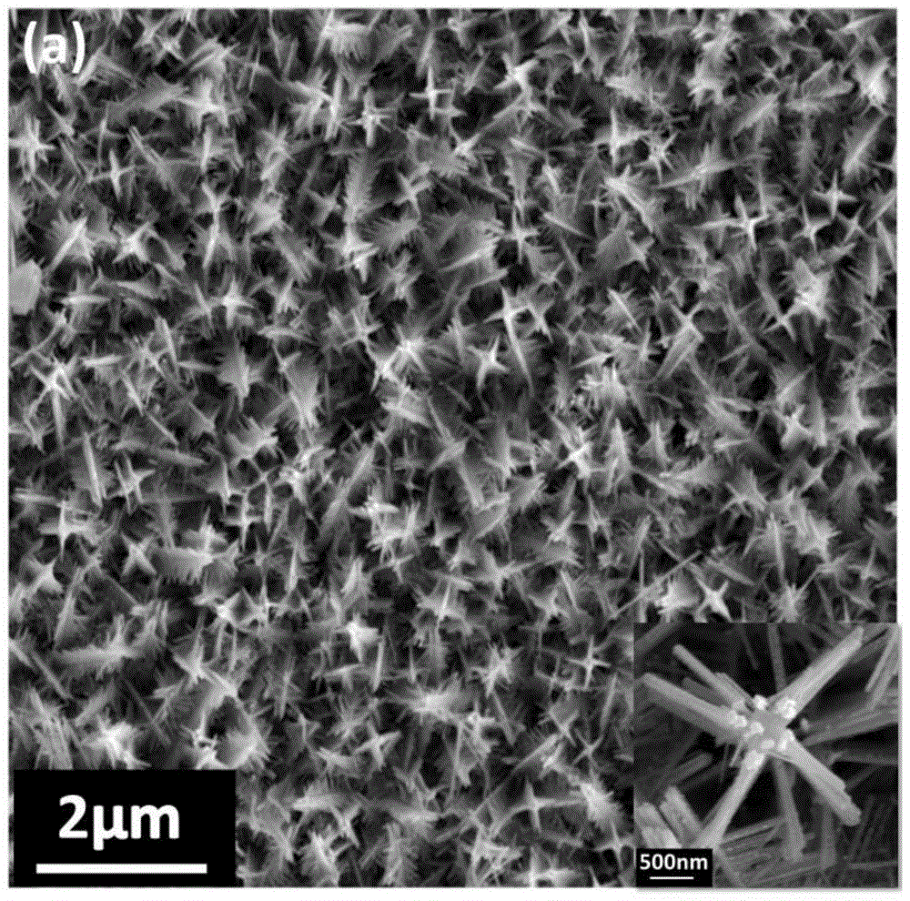 A kind of manganese dioxide dendritic nano-array electrode material and its preparation method