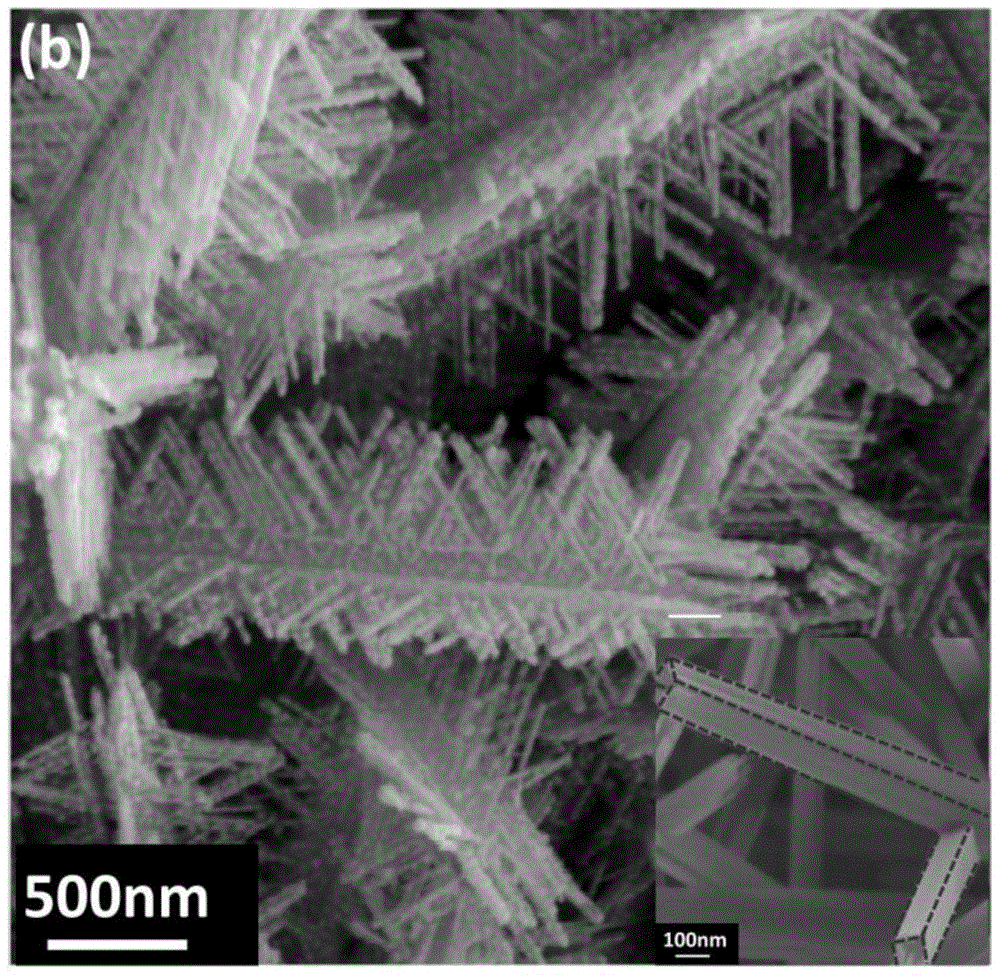 A kind of manganese dioxide dendritic nano-array electrode material and its preparation method