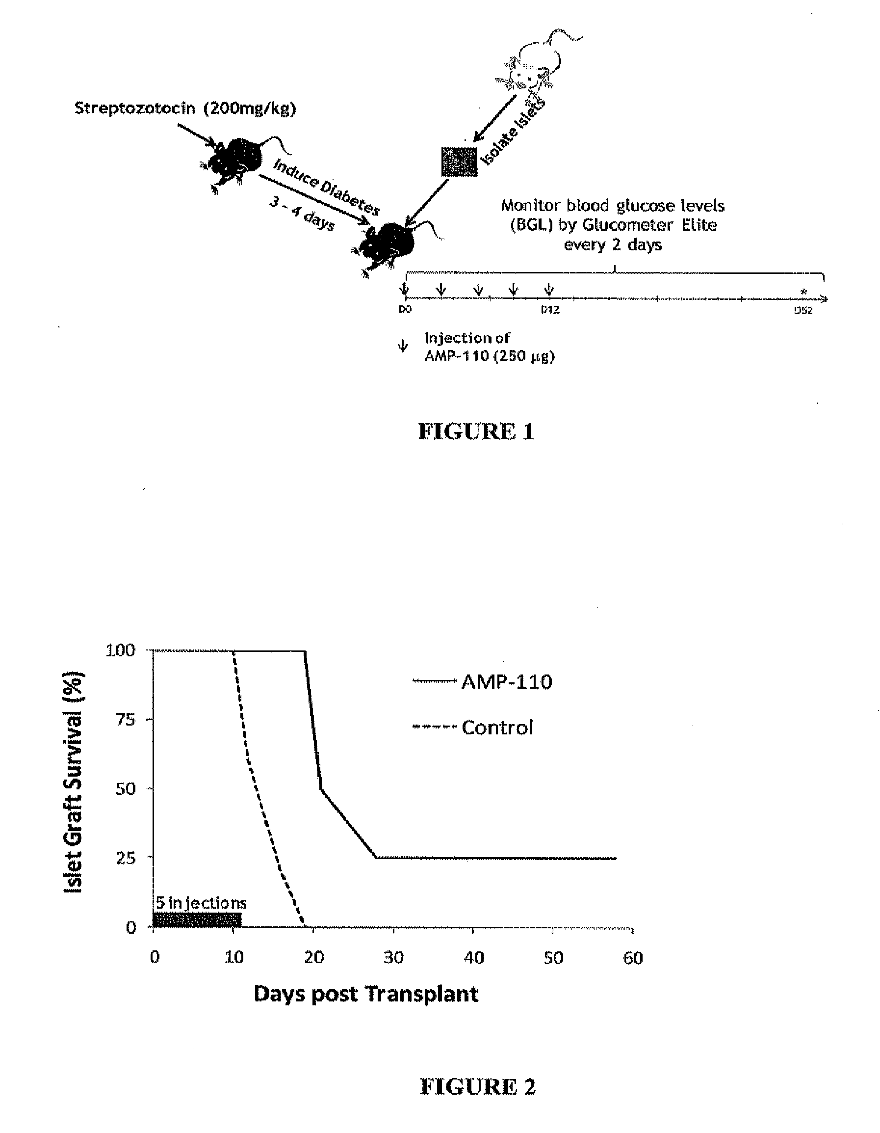 Methods and compositions for the inhibition of transplant rejection