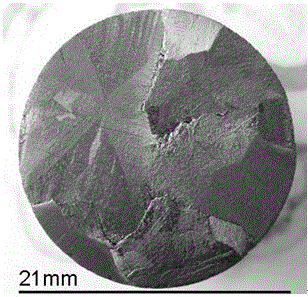 Preparation method of magnesium-doped neodymium-barium-copper-oxygen large seed crystal