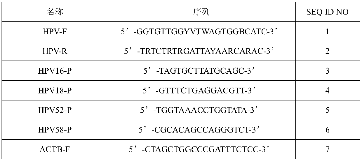 Kit for human papilloma virus typing detection