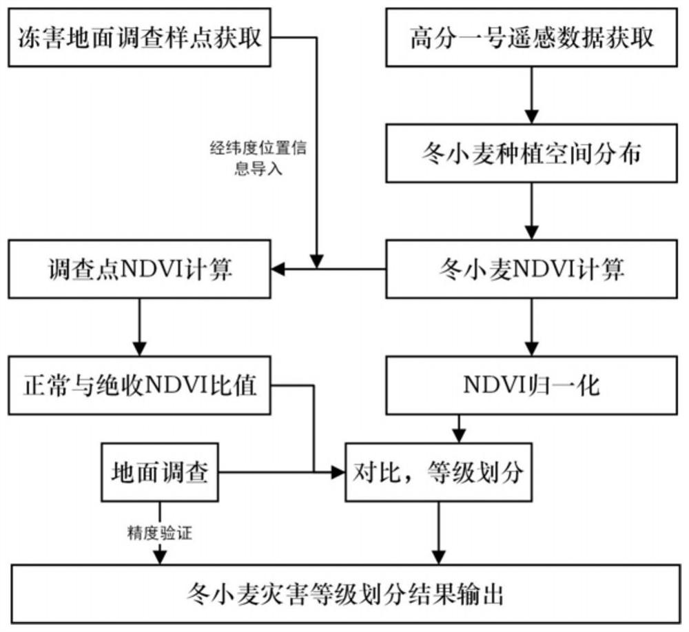 Monitoring method of freezing injury of winter wheat based on high-resolution satellite remote sensing data