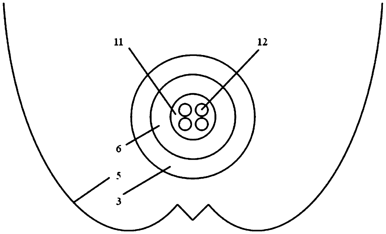 Solar heat collection pipe bundle type seawater desalting device, system and treatment method