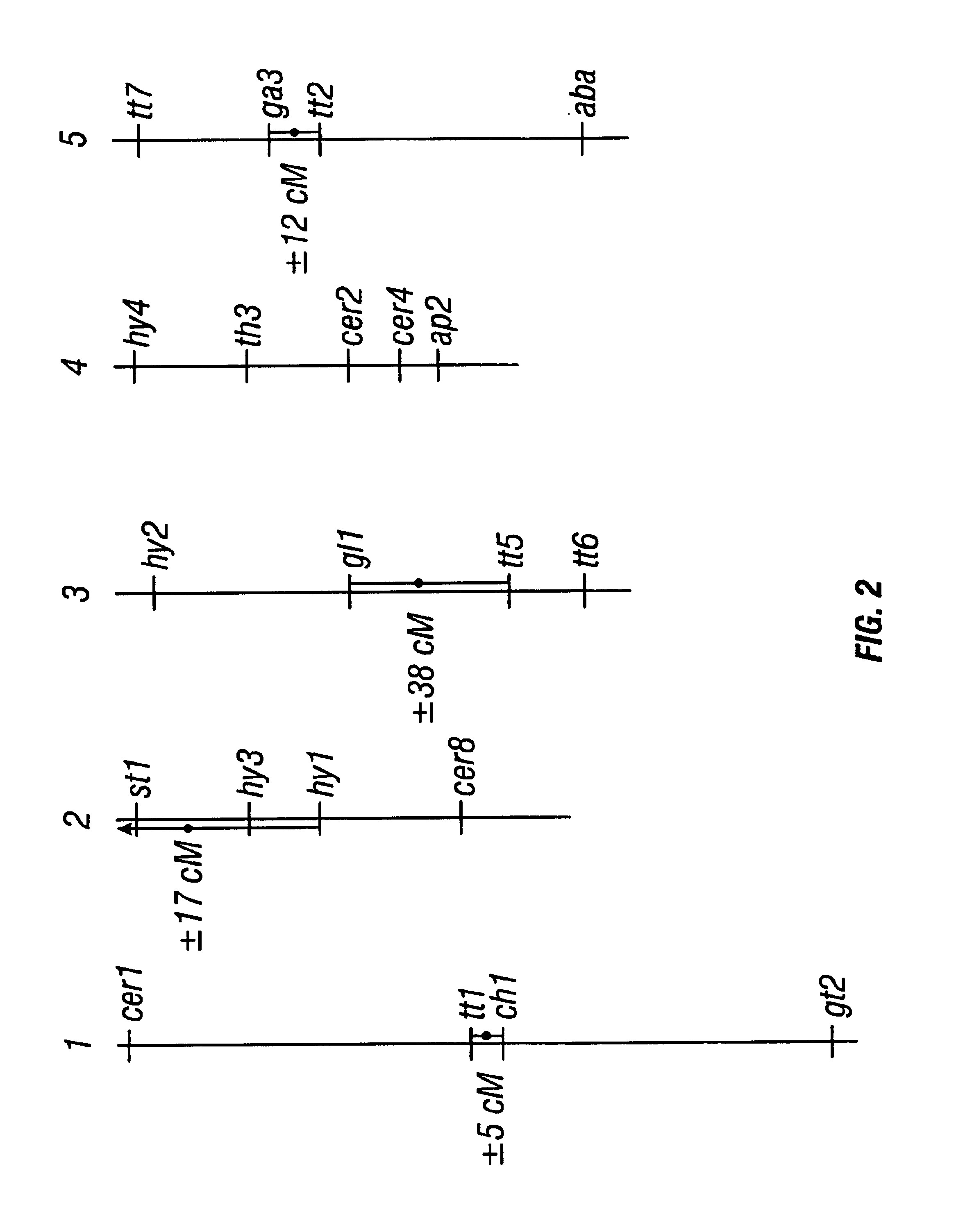 Plant chromosome compositions and methods